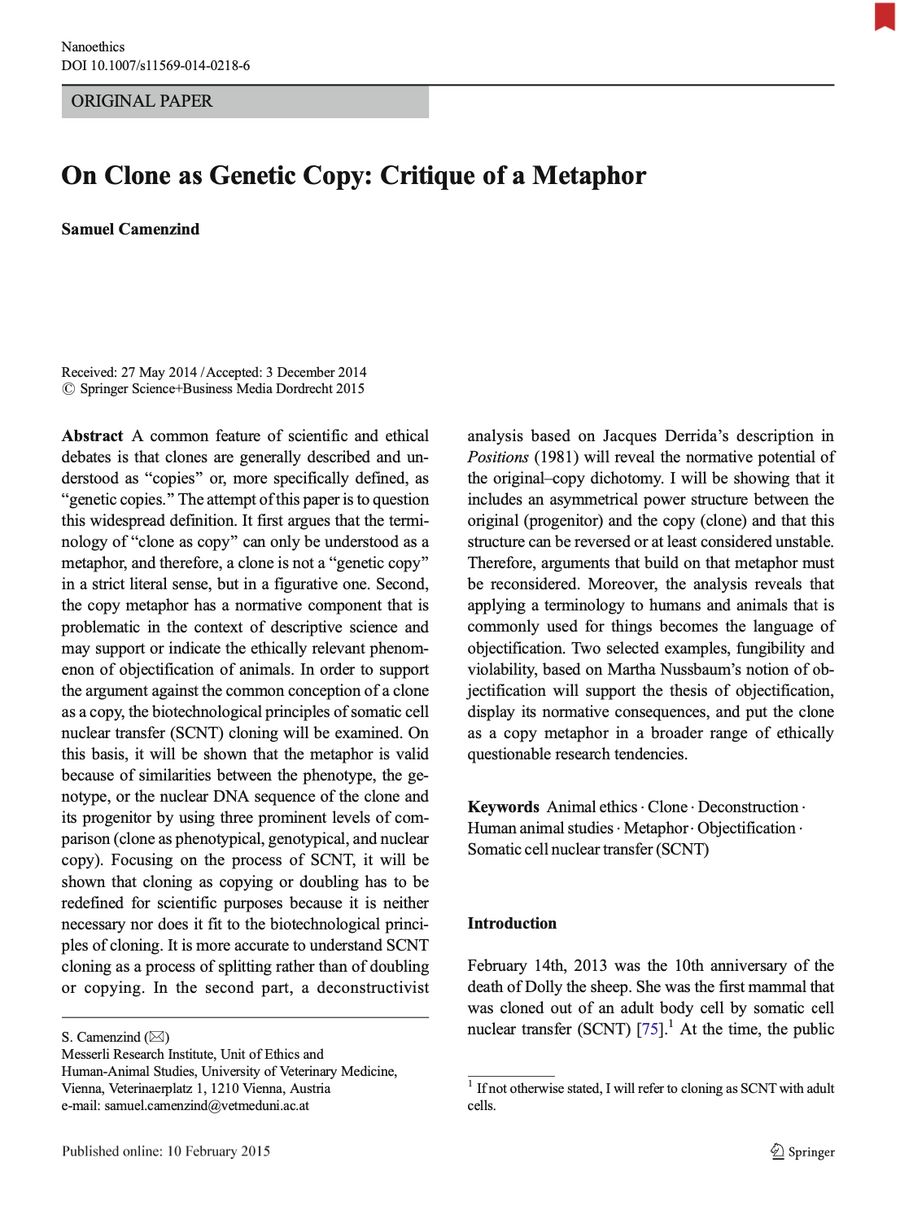 On Clone as Genetic Copy:  Critique of a Metaphor